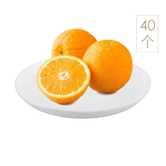 进口水果|柑橘类,-澳大利亚进口鲜橙（40个）8.4-8.6KG